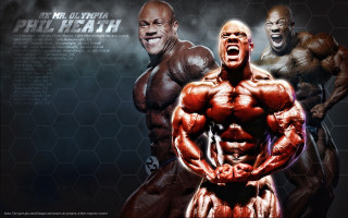 Muscular men group chest muscles - facial muscle free wallpaper