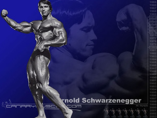Muscular man blue background image - arnie swekel free wallpaper