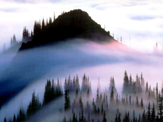 Mountain fog trees sky background - mist free wallpaper