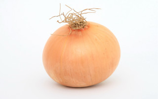 Onion white background brown stems - photorealistic imagery free wallpaper