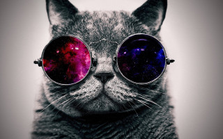 Cat glasses space planet moon - len free wallpaper