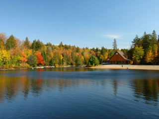 Lake trees house person shore - lake free wallpaper