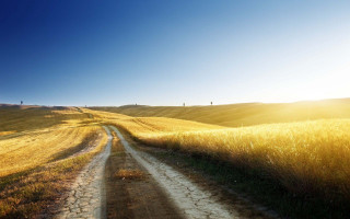 Dirt road field blue sky - a dirt road in a field free wallpaper