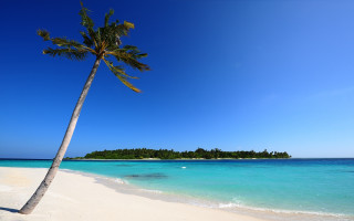 Palm tree beach blue sky 12 - a small island in the distance free wallpaper