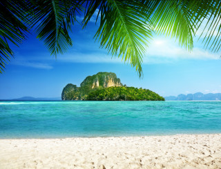 Tropical island palm tree beach - a tropical island free wallpaper