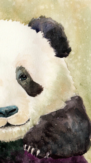 Panda purple collar black white - watercolor free wallpaper