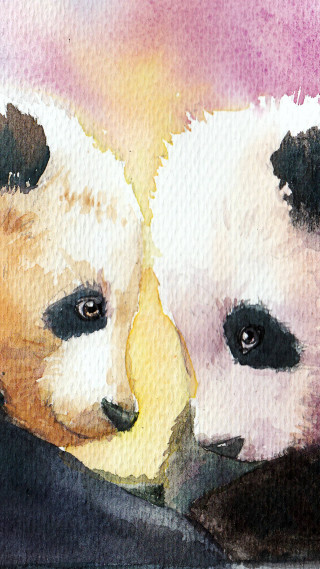 Panda bears laying blanket together - a blanket together free wallpaper