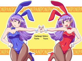 Anime girls purple hair bunny 2 - two anime girl free wallpaper