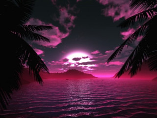 Pink sunset palm trees mountain - over the water free wallpaper for desktop