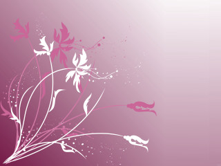 Pink white floral background bird - charles rennie mackintosh free wallpaper for desktop