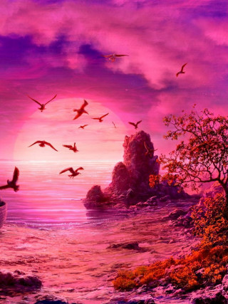 Boat ocean birds sunset pink - a sunset in the background free wallpaper for mobile