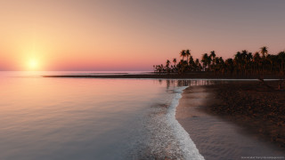 Beach sunset palm trees water 2 - the background and a body of water free wallpaper