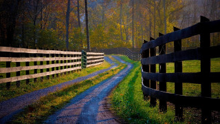 Dirt road fence forest night - tree and grass free wallpaper
