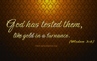 Bible verse wall god has - god free wallpaper