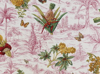 Flowers butterflies wallpaper colorful nature - walton ford free wallpaper