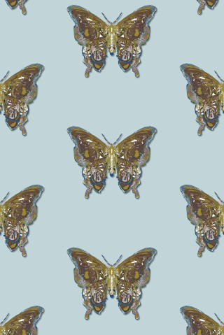 Butterfly pattern butterflies wings image - silver free wallpaper for mobile