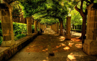 Walkway lined with trees and - a walkway free wallpaper