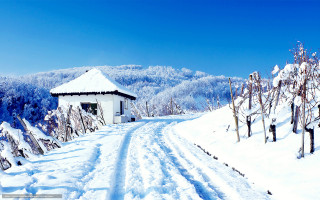 Snowy road white building trees - free winter wallpaper