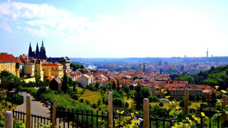 City buildings trees fence town - a view of a town free wallpaper