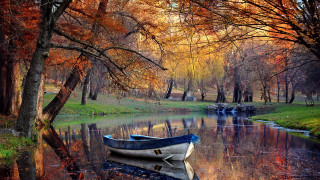 Boat water park trees grass - ferenc joachim free wallpaper