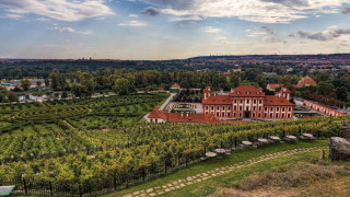 Danube school tiltshift panorama mountain - a lush green field free wallpaper