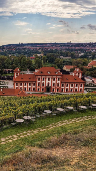 Large building trees grass field - boleslaw cybi free wallpaper for mobile