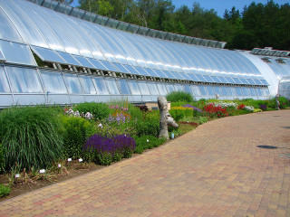 Walkway flower field mosaic building - a brick walkway free wallpaper for desktop