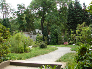 Cement bench park trees cherry - a house in the distance free wallpaper for desktop