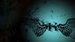 Wing letter h black white - kinetic art free wallpaper for desktop