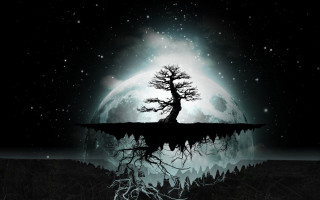 Tree lake moon background full - a moon in the background free wallpaper