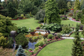 Lush green park pond trees - a lush green park free wallpaper