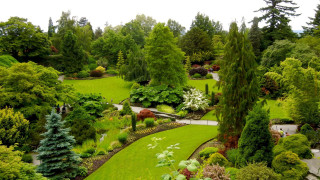 Lush green park trees bushes 2 - a lush green park free wallpaper