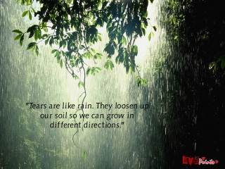 Rain shower tears quote grow - we free wallpaper