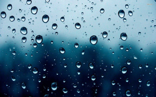 Window rain drops trees background - tree free wallpaper