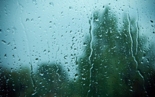 Window rain drops tree blue - bouchta el hayani free wallpaper