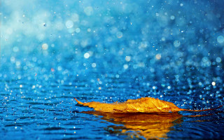 Leaf blue water droplets sky - a few white dot free wallpaper