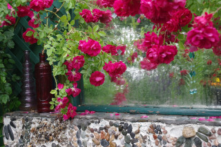 Window sill flowers vase stone - a still life free wallpaper