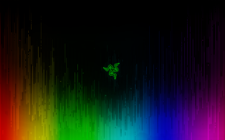 Colorful background bee rainbow light - a bee free wallpaper