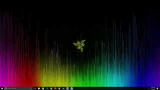 Computer screen colorful background lizard - minimalist free wallpaper