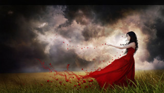 Woman red dress field red - dirk crabeth free wallpaper