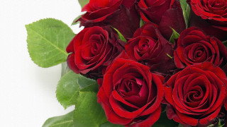Red roses bouquet green leaves 5 - red rose free wallpaper for desktop