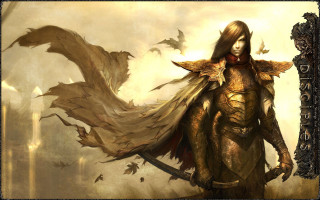 Woman sword wings sky bats - above her free wallpaper