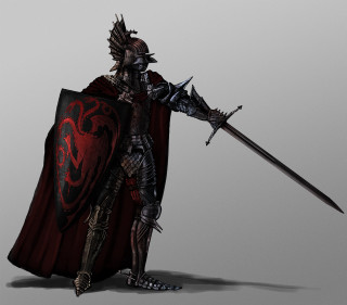 Man knight outfit sword shield - the front free wallpaper for tablet