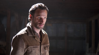 Man brown shirt serious look 3 - his face and shoulders free wallpaper for desktop