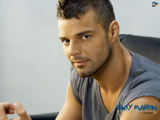 Man goatee grey shirt sitting - grey free wallpaper