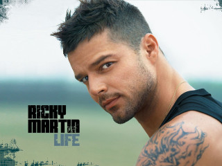 Man tattoo serious look camera - his arm and chest free wallpaper