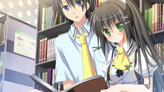 Couple people bookshelf books in - book free wallpaper for desktop