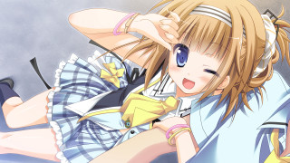 Girl ponytail blue eyes posing - a blue eye free wallpaper