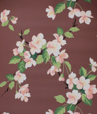 Brown white flower pattern green - free spring wallpaper for tablet