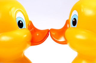 Yellow rubber ducks blue eyes - their mouth free wallpaper for desktop